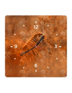 Zebra stepní