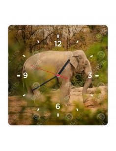 Asiatischer Elefant