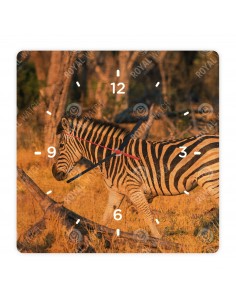 Alföldi zebra