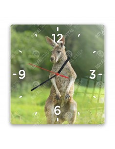 Rotes Riesenkänguru