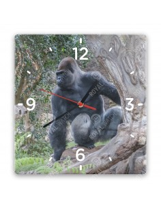 Gorillas