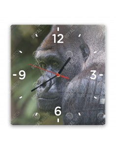 Gorillas