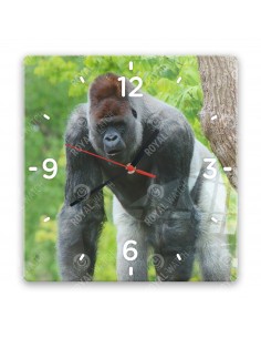 Gorillas