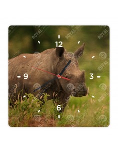 Nashorn