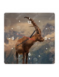 Alpensteinbock