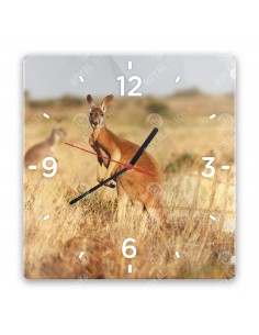 Большой рыжий кенгуру