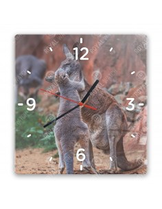 Rotes Riesenkänguru