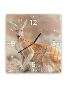 Большой рыжий кенгуру