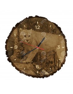 Puma americká