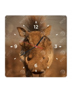 Prasa bradavičnaté