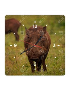 Prasa bradavičnaté