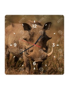 Prasa bradavičnaté