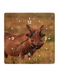 Prasa bradavičnaté