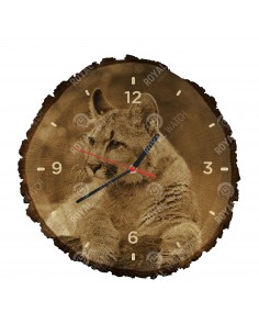 Puma americká