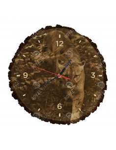 Puma americká