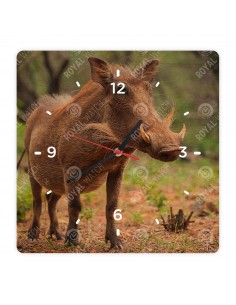 Prasa bradavičnaté