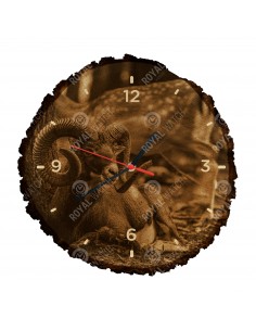 Mouflon