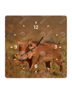 Prasa bradavičnaté