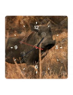 Prasa bradavičnaté