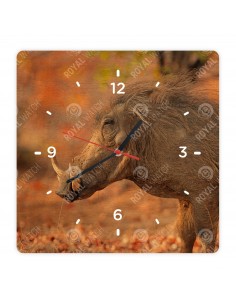 Prasa bradavičnaté