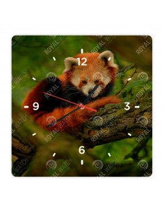 Panda červená