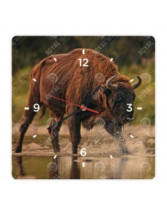 Wisent
