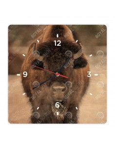 Американский бизон