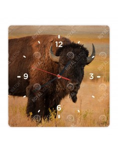 Amerikanischer Bison