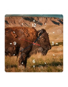 Американский бизон