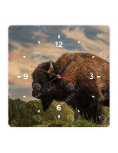 Американский бизон