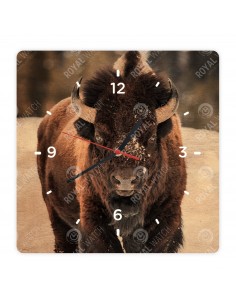 Amerikanischer Bison