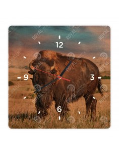 Amerikanischer Bison