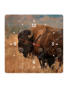 Американский бизон