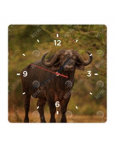 Byvol africký