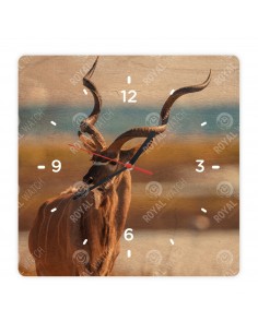 Nagy kudu