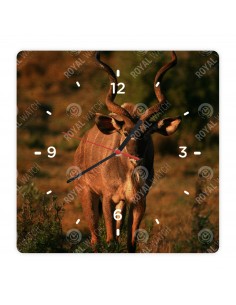 Nagy kudu