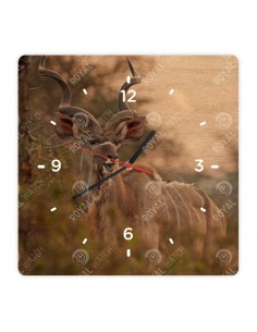 Nagy kudu