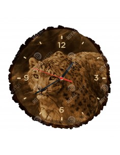 Leopard snežný