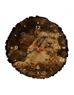 Leopard snežný