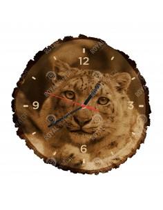 Leopard snežný