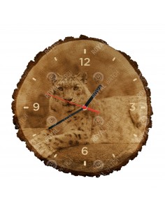Leopard snežný