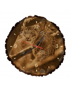 Leopard snežný
