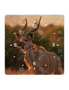 Nagy kudu