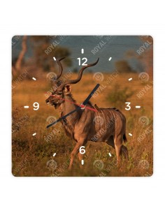 Nagy kudu