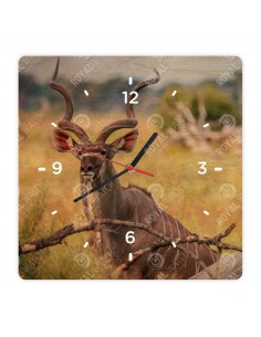 Nagy kudu