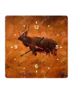 Nyala