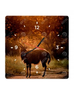 Nyala
