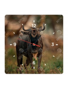Gnu pręgowane