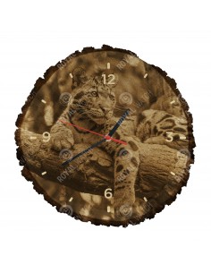 Levhart obláčkový