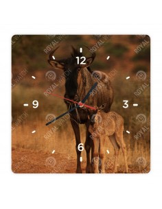 Gnu pręgowane